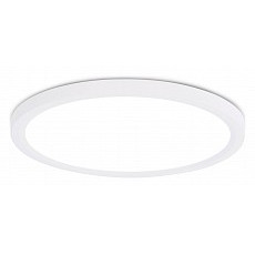 Накладной светильник ambrella light fz fz1909